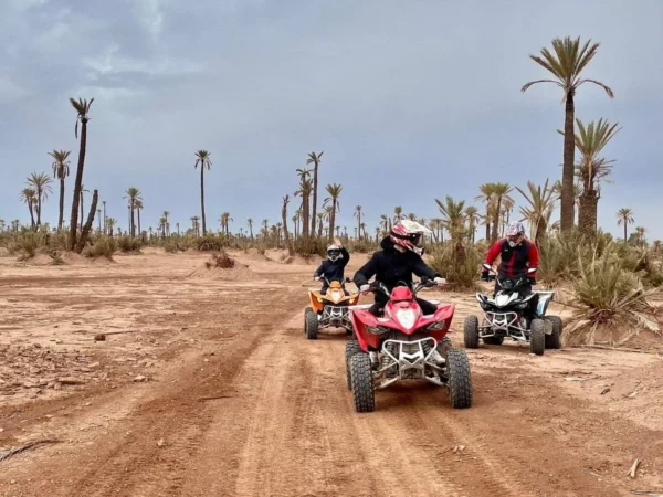 Quad Adventure in the Palmeraie - Image 2