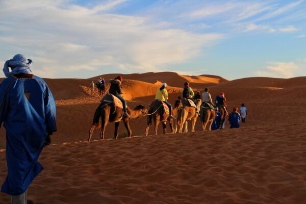 trip, adventure, camel caravan, sahara, golden sands, travelling, morocco, dunes, fun, vacation, berber, camel riding, brown sand, brown fun, sahara, morocco, morocco, morocco, morocco, morocco