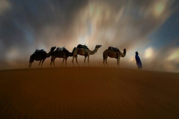 A caravan of camels led by a herder silhouettes against a stunning desert twilight in Morocco.