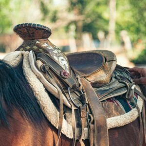 Detailed view of a well-worn saddle on a horse, showcasing craftsmanship.