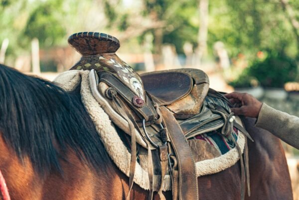 Detailed view of a well-worn saddle on a horse, showcasing craftsmanship.